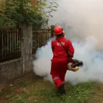 Monza, sospetta Chikungunya: disinfestazione in viale Libertà