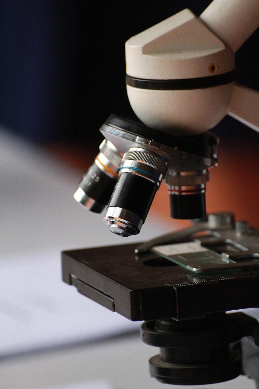 Monza e Brianza: progetto STEM per ridurre il divario di genere nelle professioni scientifiche