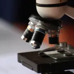 Monza e Brianza: progetto STEM per ridurre il divario di genere nelle professioni scientifiche