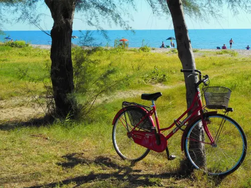 Ciclabili Monza Brianza: guida ai percorsi